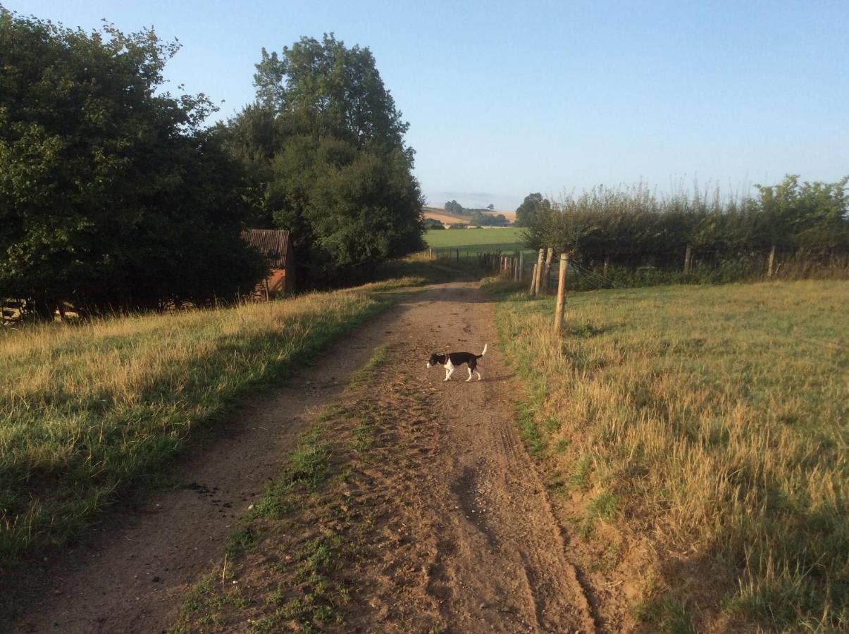 The Rear Of The Plough,Everdon. Дейвънтри Екстериор снимка